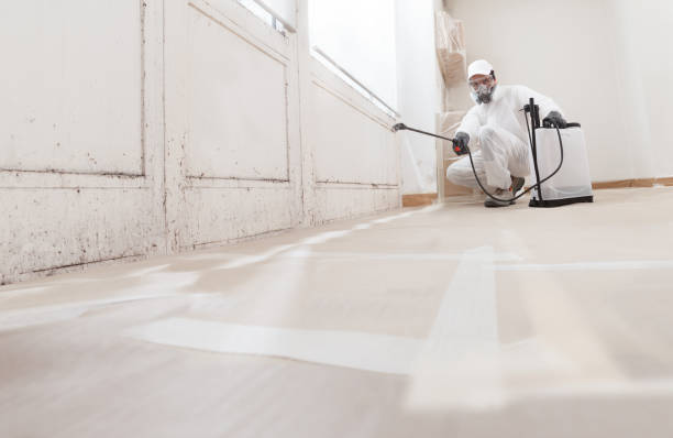 24/7 Emergency Mold Testing experts in Jonestown, PA
